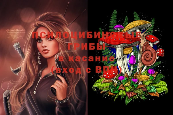 apvp Абаза