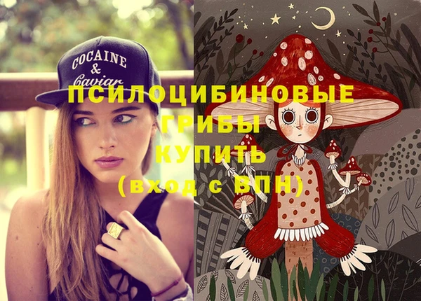дживик Абинск