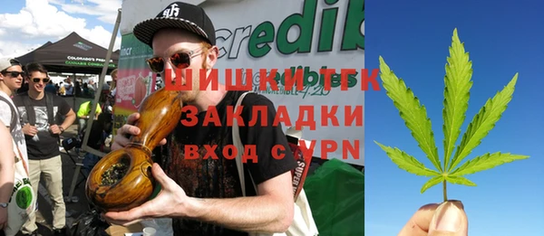 дживик Абинск