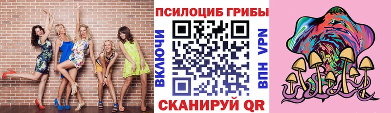 где продают наркотики  Ряжск  Галлюциногенные грибы Psilocybe 